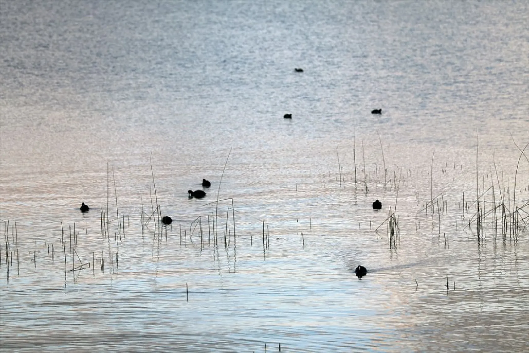Elazığ'ın gözdesi Hazar Gölü'nde kış güzelliği