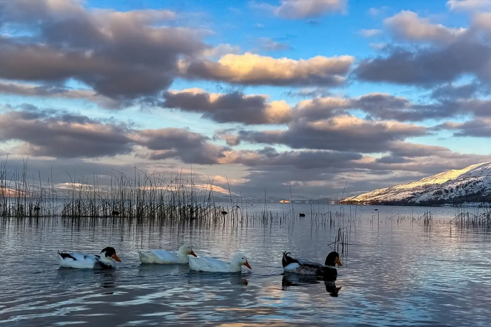 Elazığ'ın gözdesi Hazar Gölü'nde kış güzelliği
