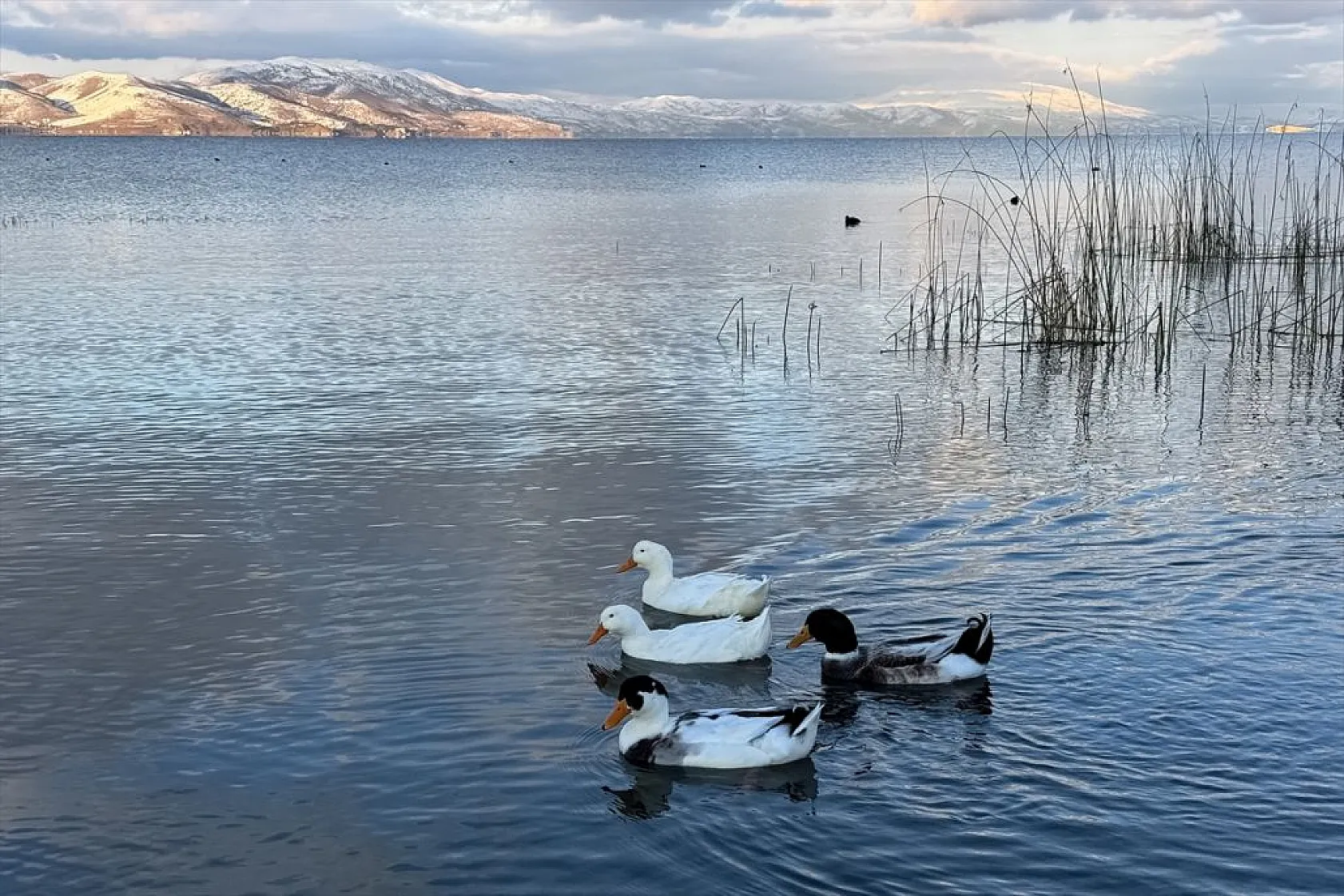 Elazığ'ın gözdesi Hazar Gölü'nde kış güzelliği