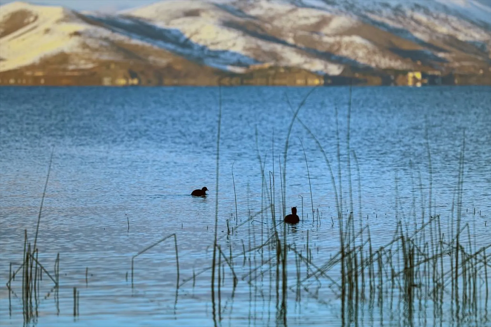 Elazığ'ın gözdesi Hazar Gölü'nde kış güzelliği