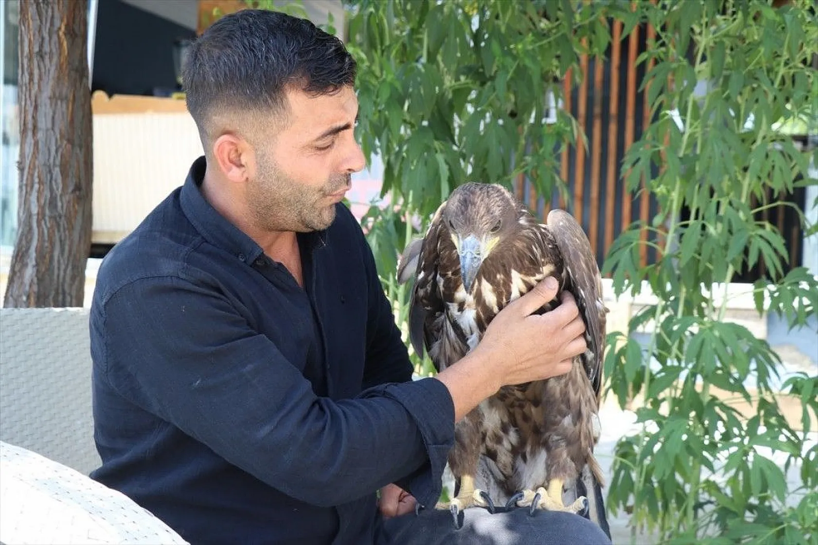 Kartal yavrusu 'Paşa'ya kucak açtı