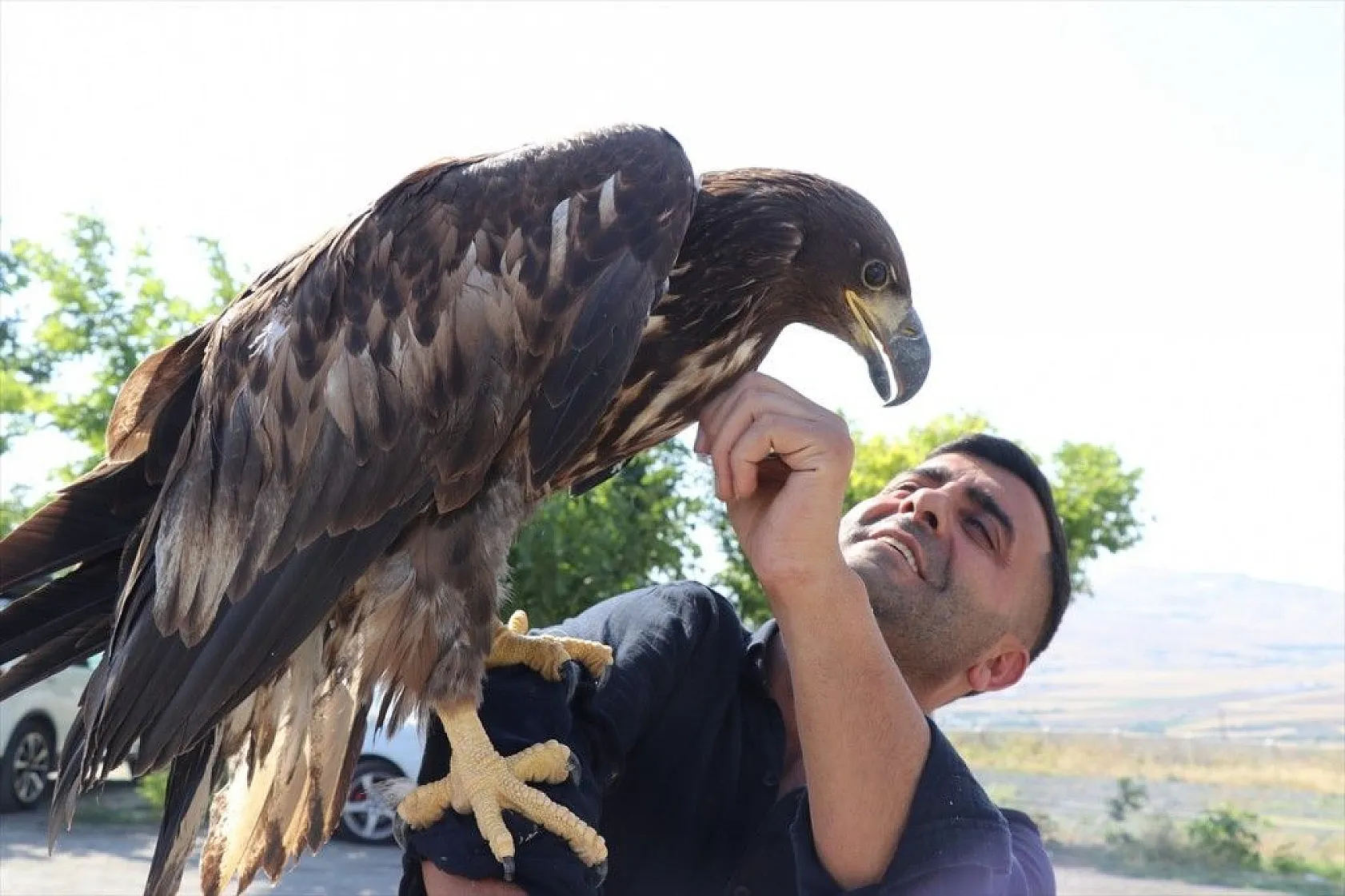 Kartal yavrusu 'Paşa'ya kucak açtı