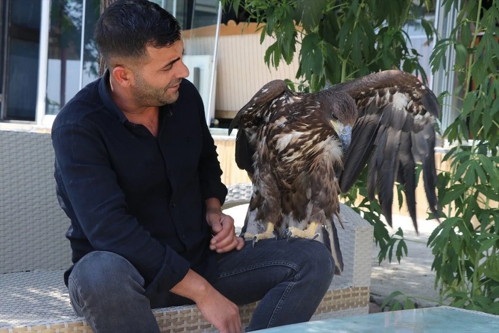 Kartal yavrusu 'Paşa'ya kucak açtı