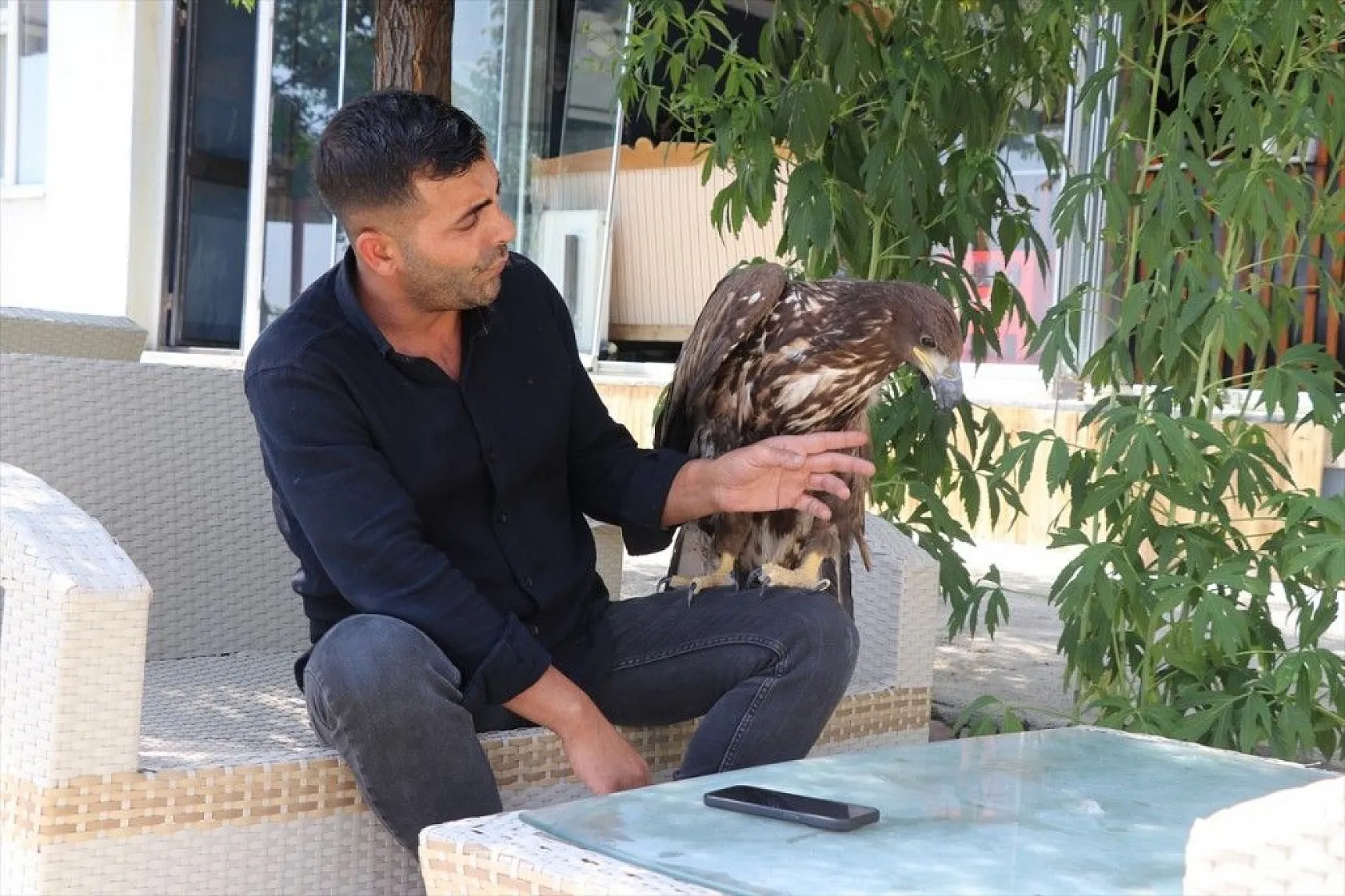 Kartal yavrusu 'Paşa'ya kucak açtı