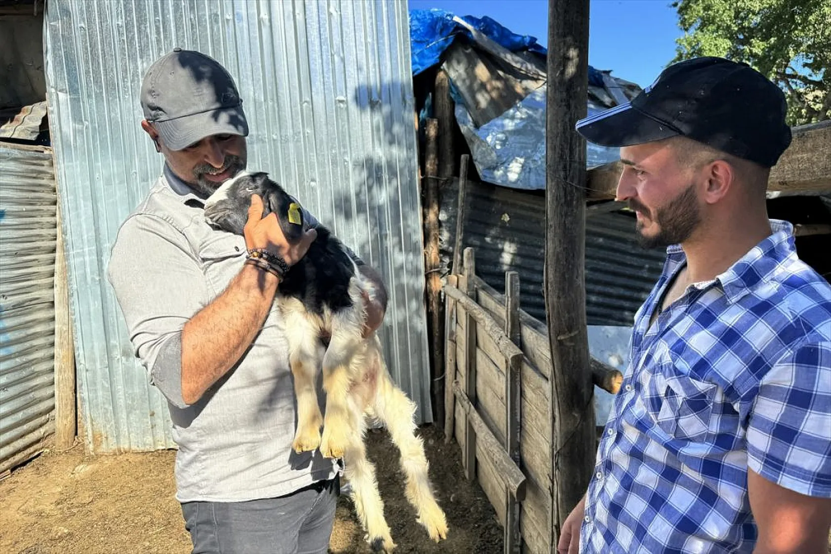 Piyanist muhtar, şarkıları artık köyündekiler için seslendiriyor