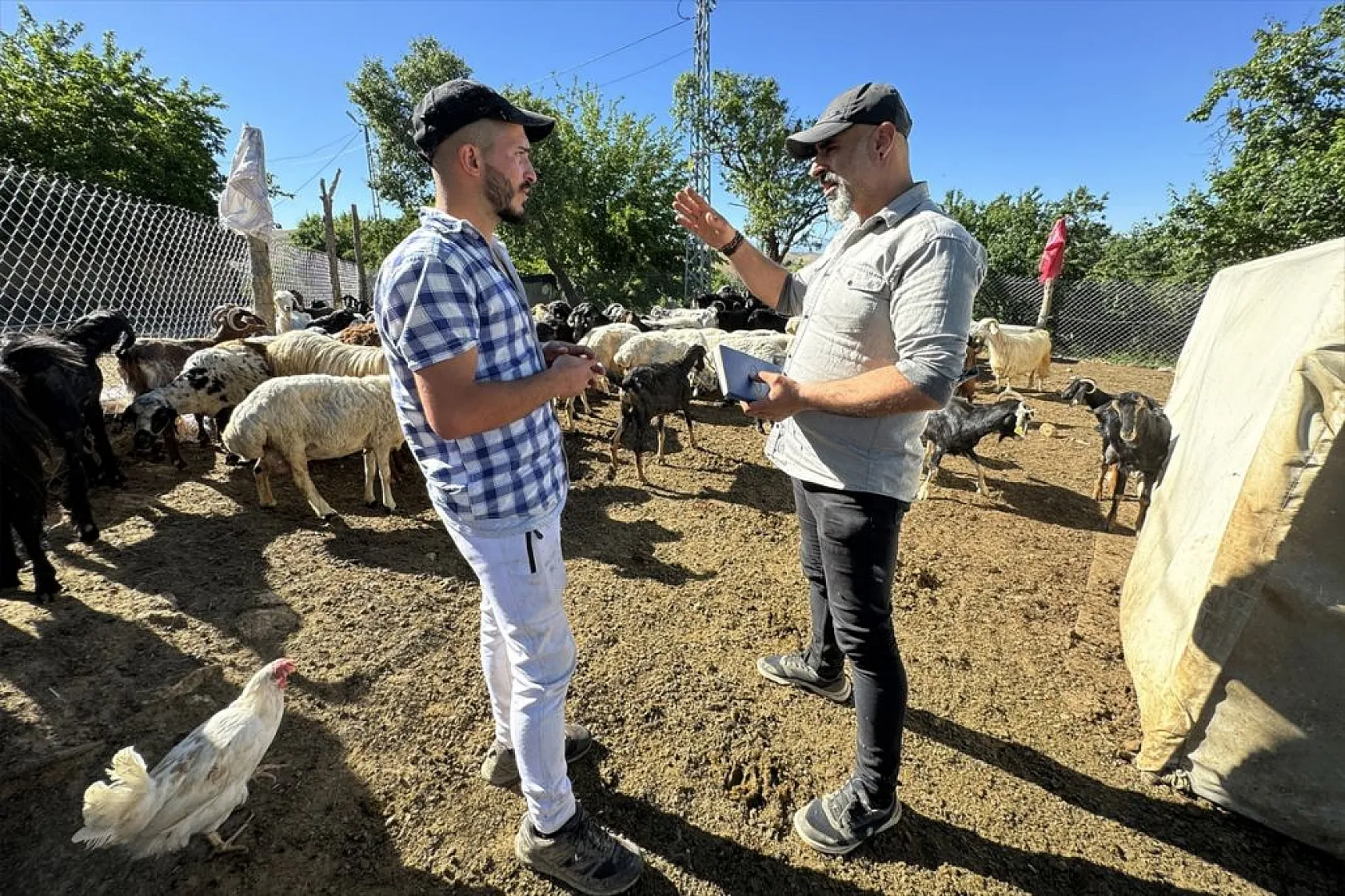 Piyanist muhtar, şarkıları artık köyündekiler için seslendiriyor