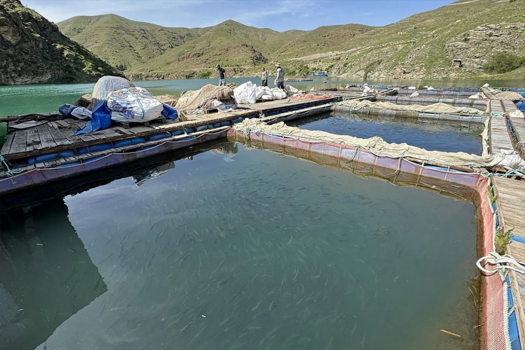 Su ürünleri ihracatında hedef 2 milyar doları geçmek