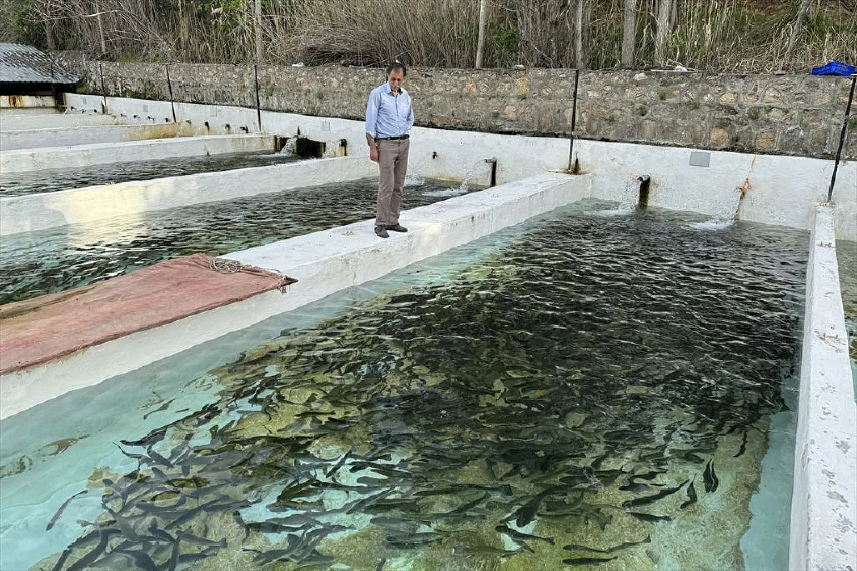 Su ürünleri ihracatında hedef 2 milyar doları geçmek