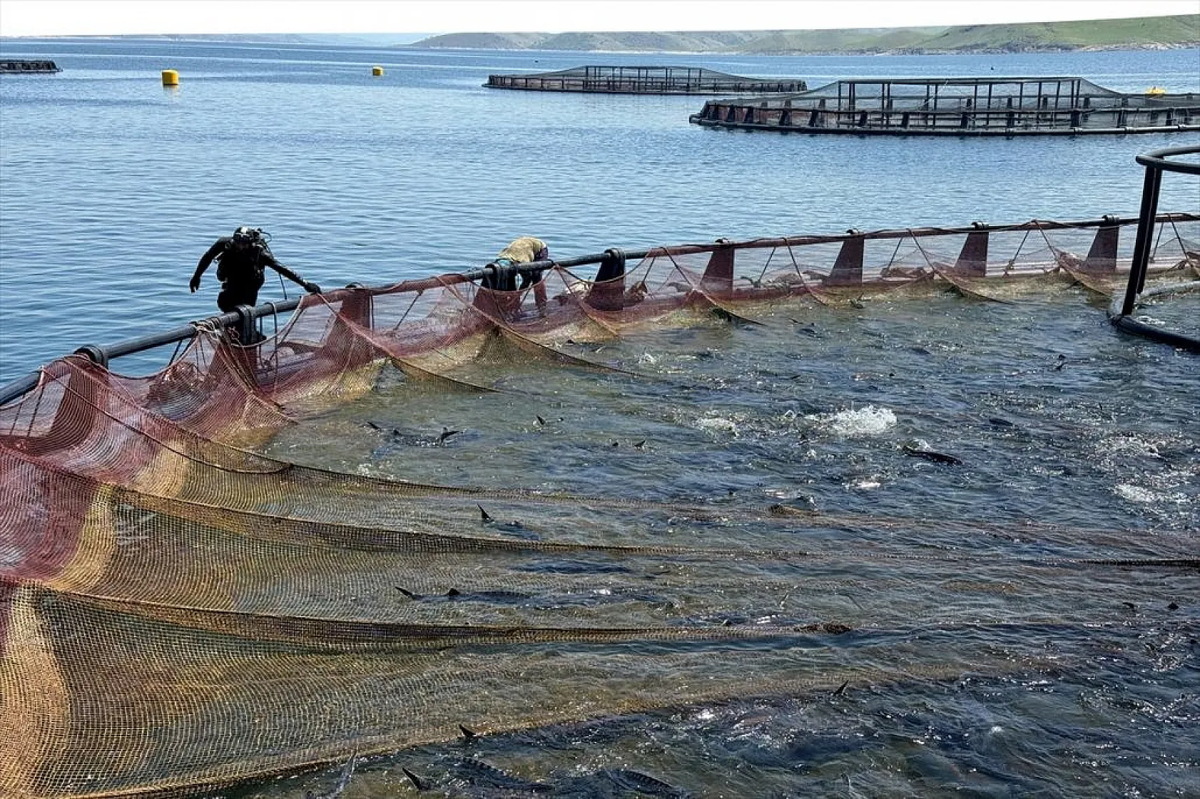 Su ürünleri ihracatında hedef 2 milyar doları geçmek