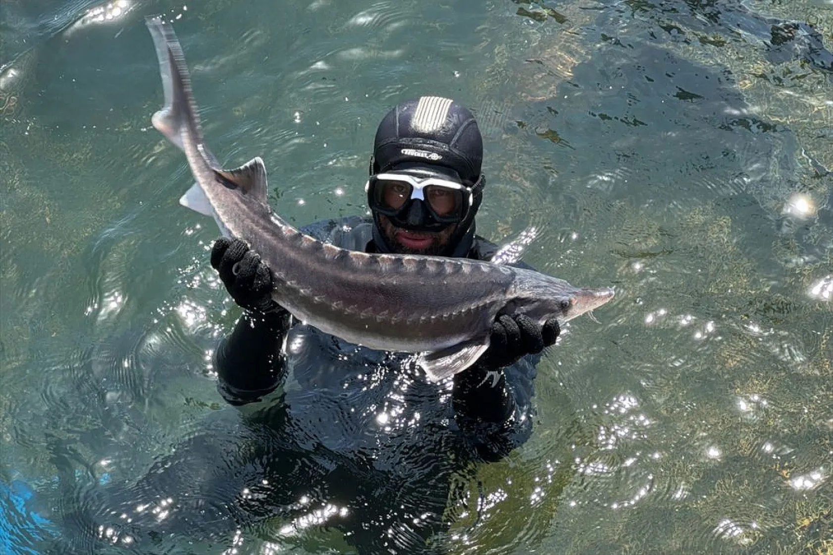 Su ürünleri ihracatında hedef 2 milyar doları geçmek