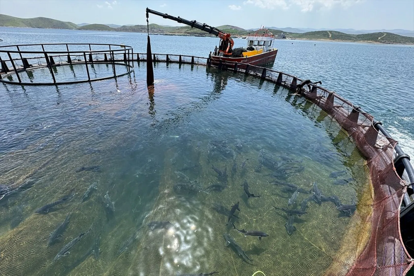 Su ürünleri ihracatında hedef 2 milyar doları geçmek