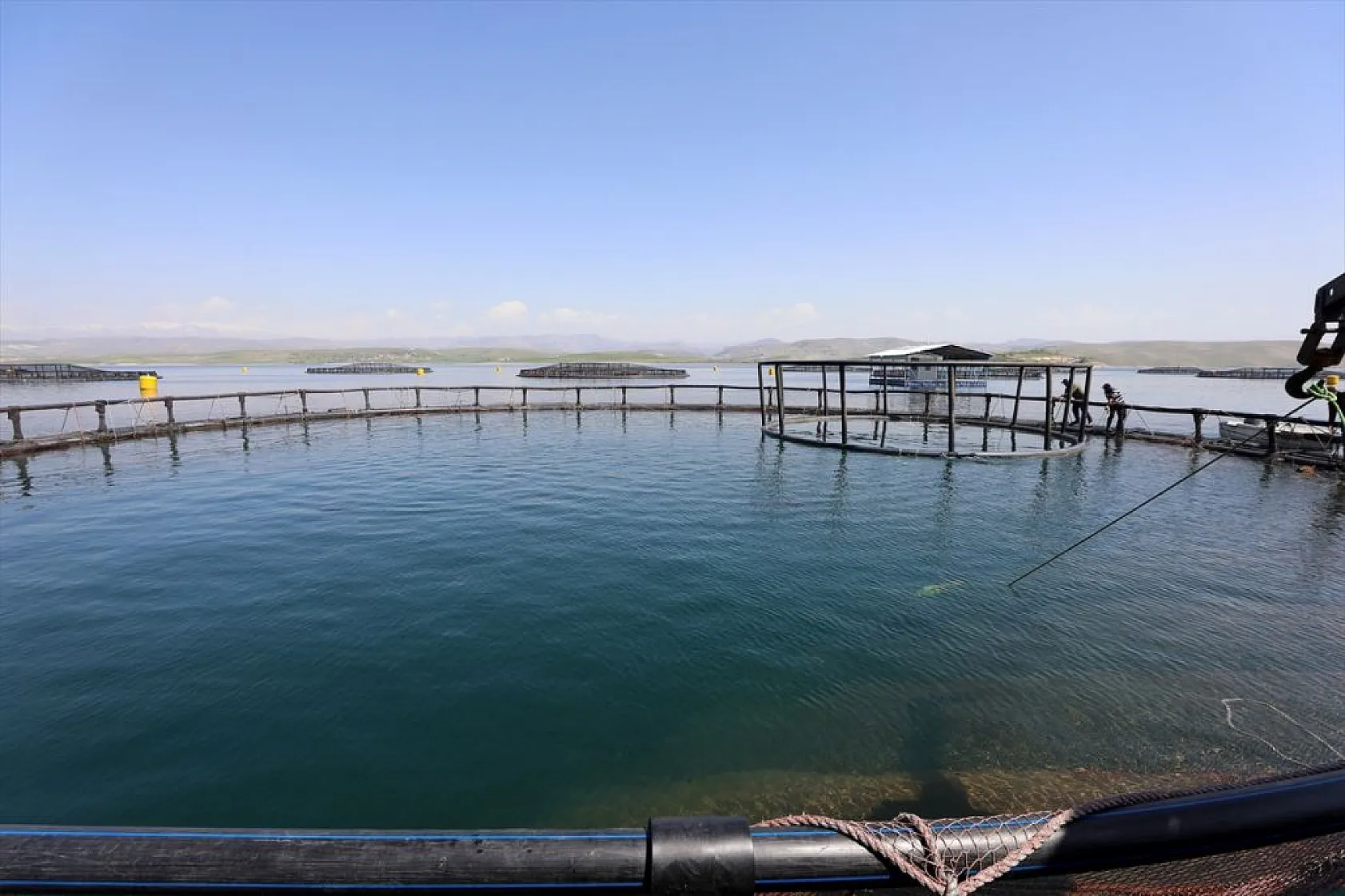 Su ürünleri ihracatında hedef 2 milyar doları geçmek