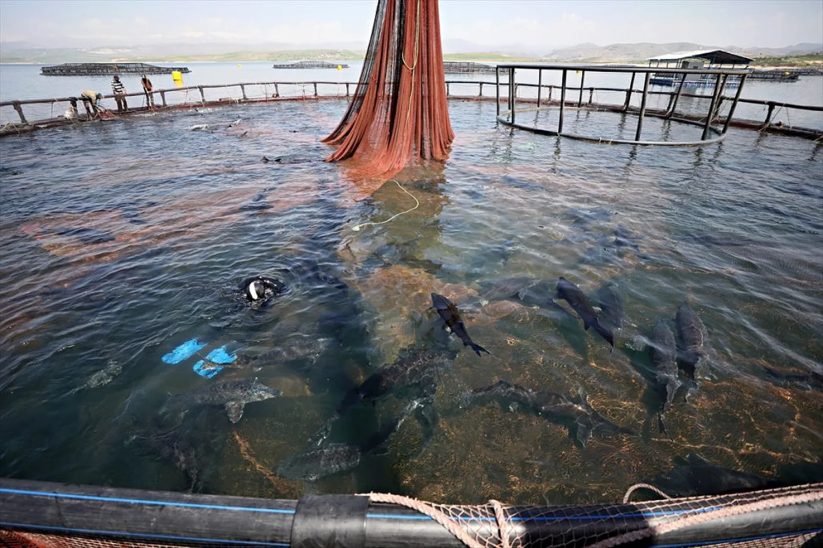 Su ürünleri ihracatında hedef 2 milyar doları geçmek