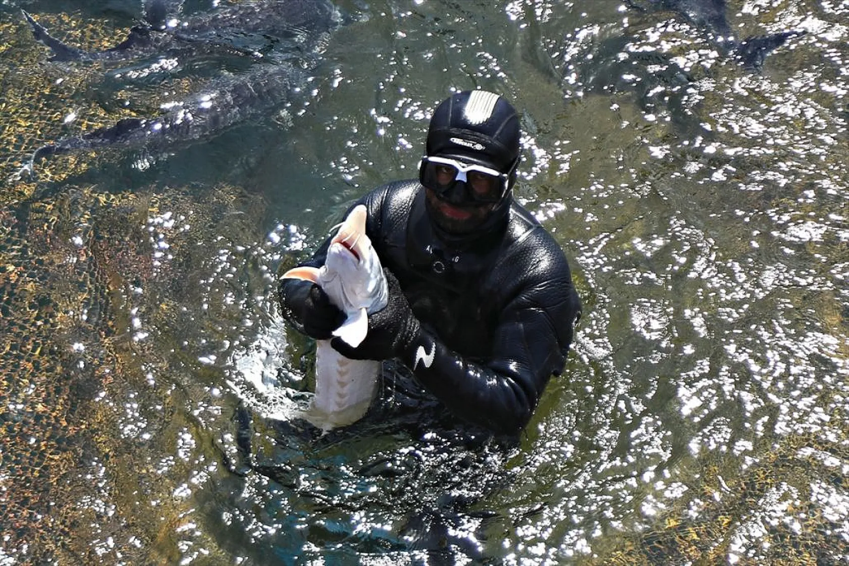 Su ürünleri ihracatında hedef 2 milyar doları geçmek