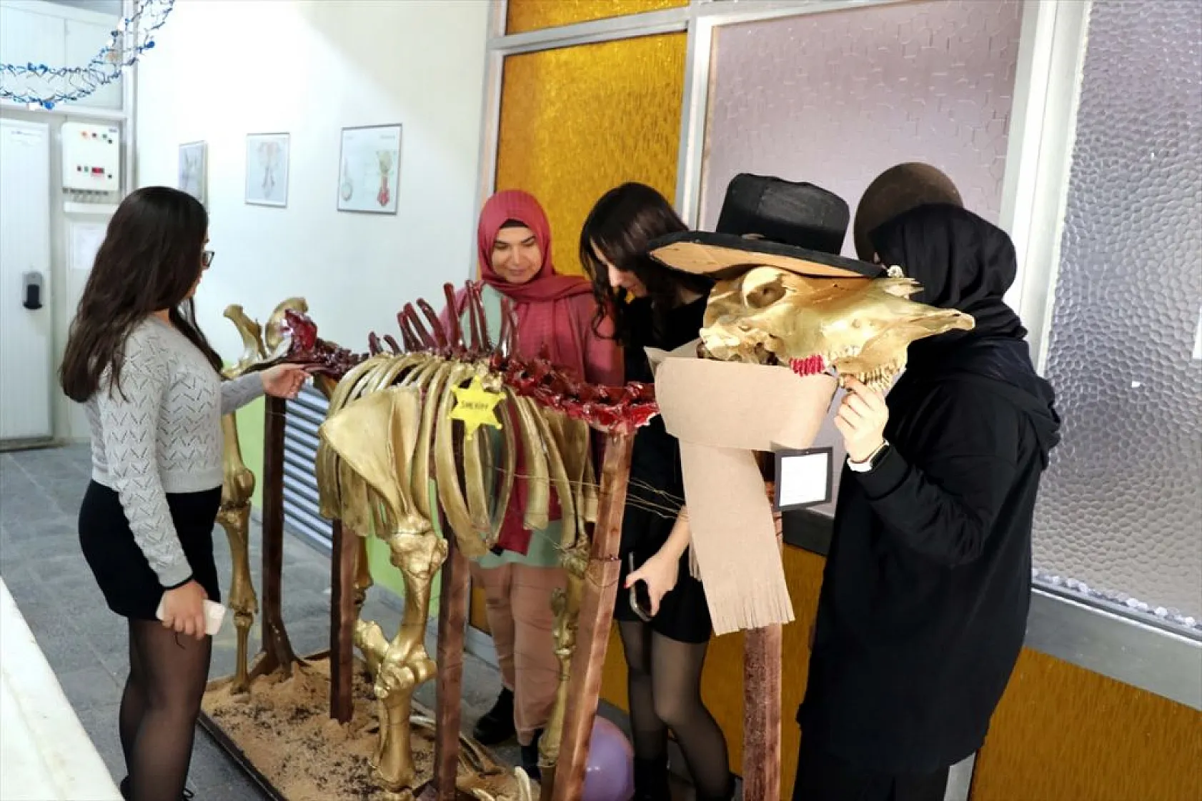 Topladıkları hayvan kemiklerini anatomi dersi için iskelete dönüştürdüler