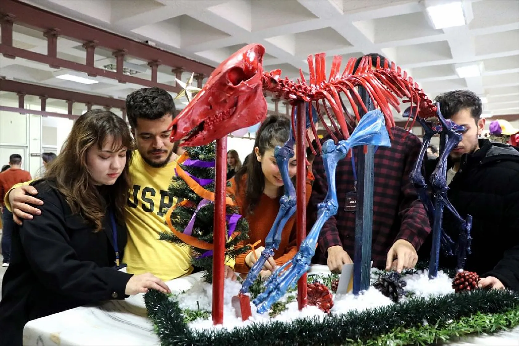 Topladıkları hayvan kemiklerini anatomi dersi için iskelete dönüştürdüler