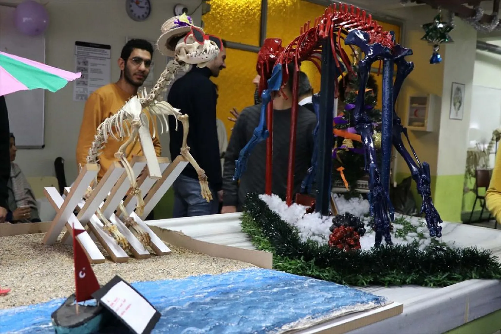 Topladıkları hayvan kemiklerini anatomi dersi için iskelete dönüştürdüler