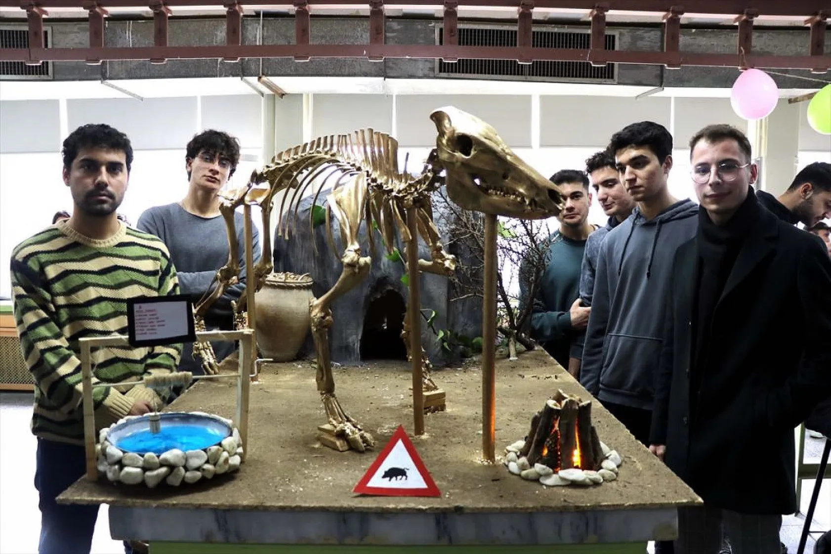 Topladıkları hayvan kemiklerini anatomi dersi için iskelete dönüştürdüler