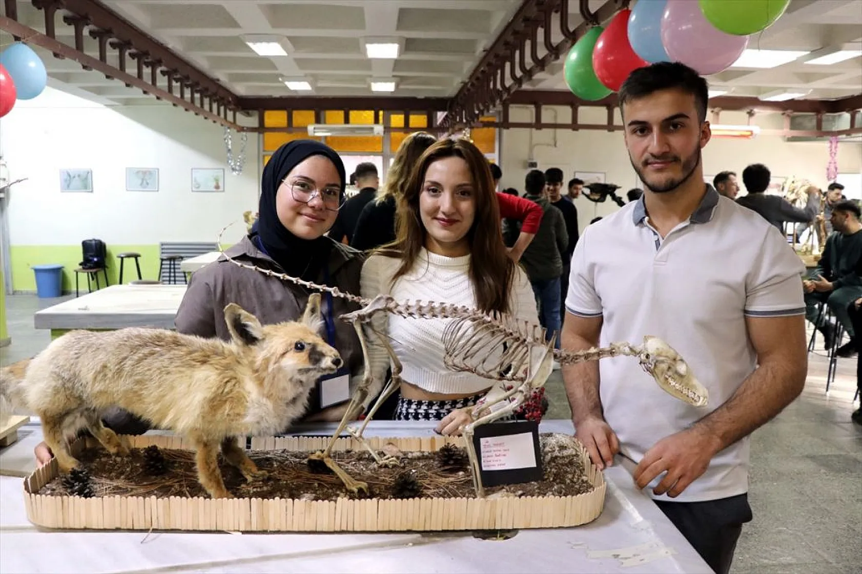 Topladıkları hayvan kemiklerini anatomi dersi için iskelete dönüştürdüler