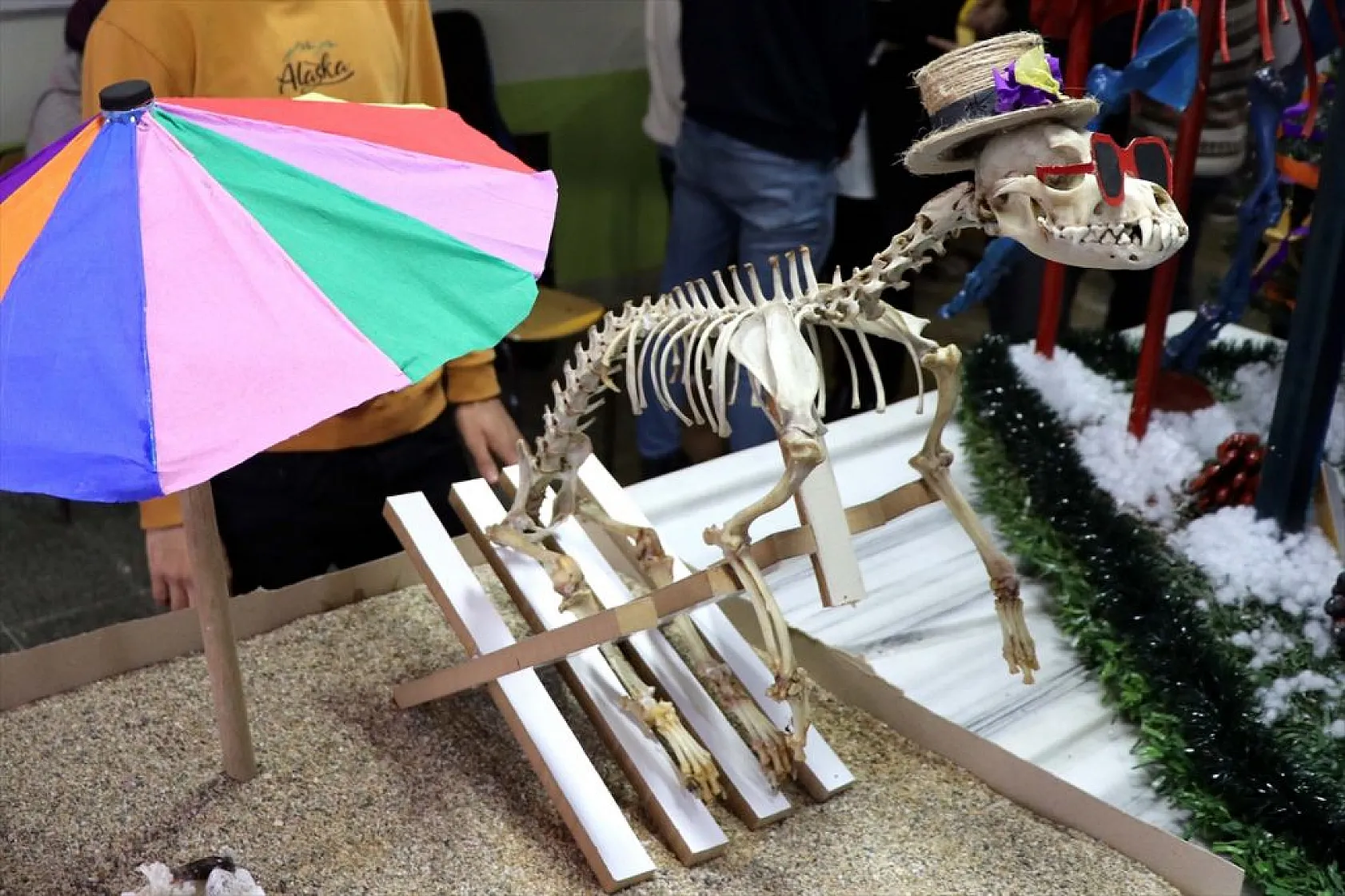 Topladıkları hayvan kemiklerini anatomi dersi için iskelete dönüştürdüler