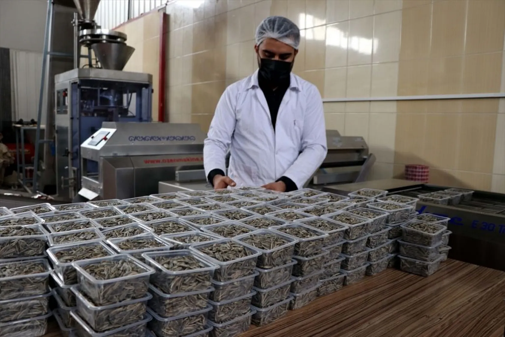 Babasından devraldığı işletmeyi devlet desteğiyle modern tesise dönüştürdü