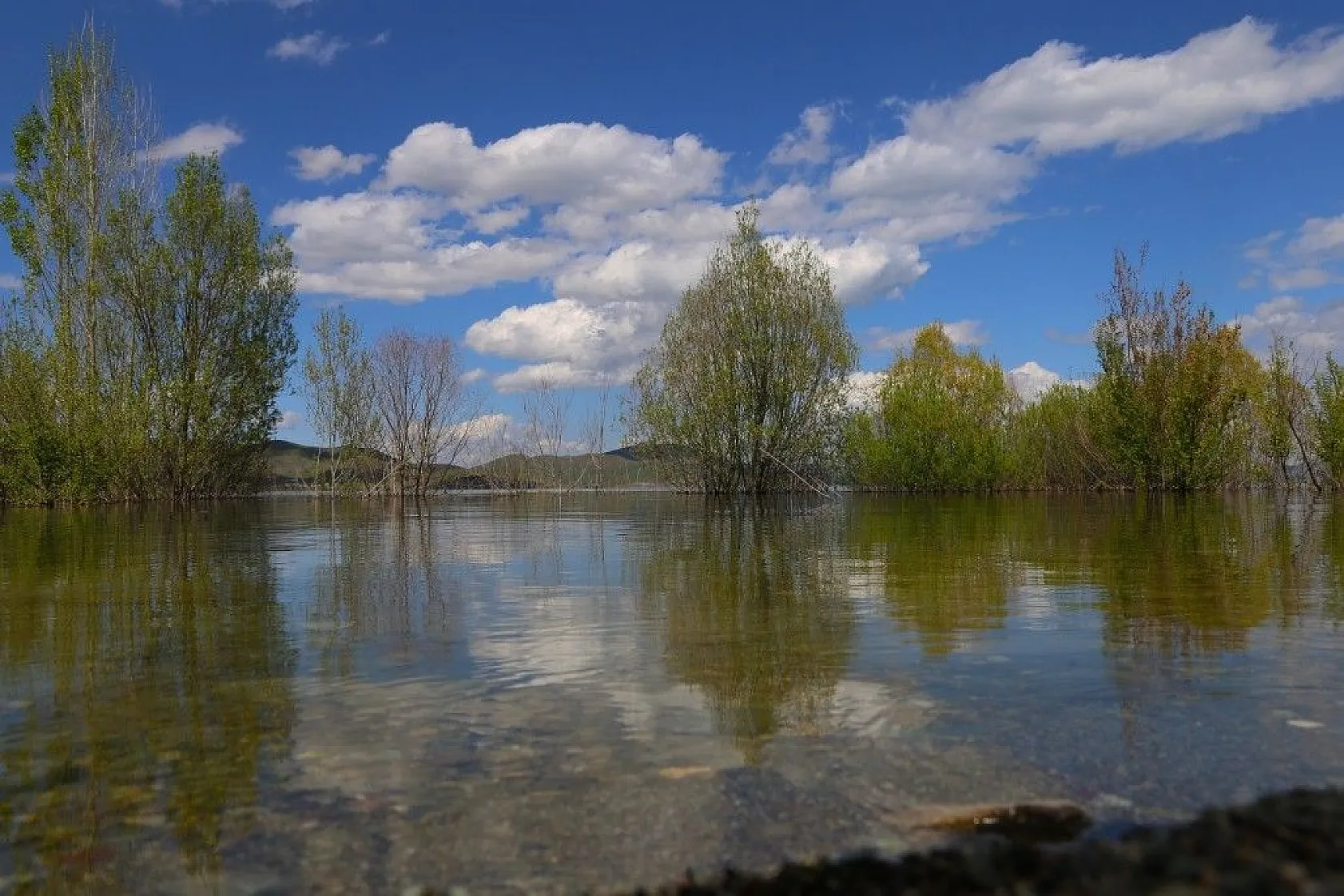 Elazığ baharla birlikte renk cümbüşüne büründü