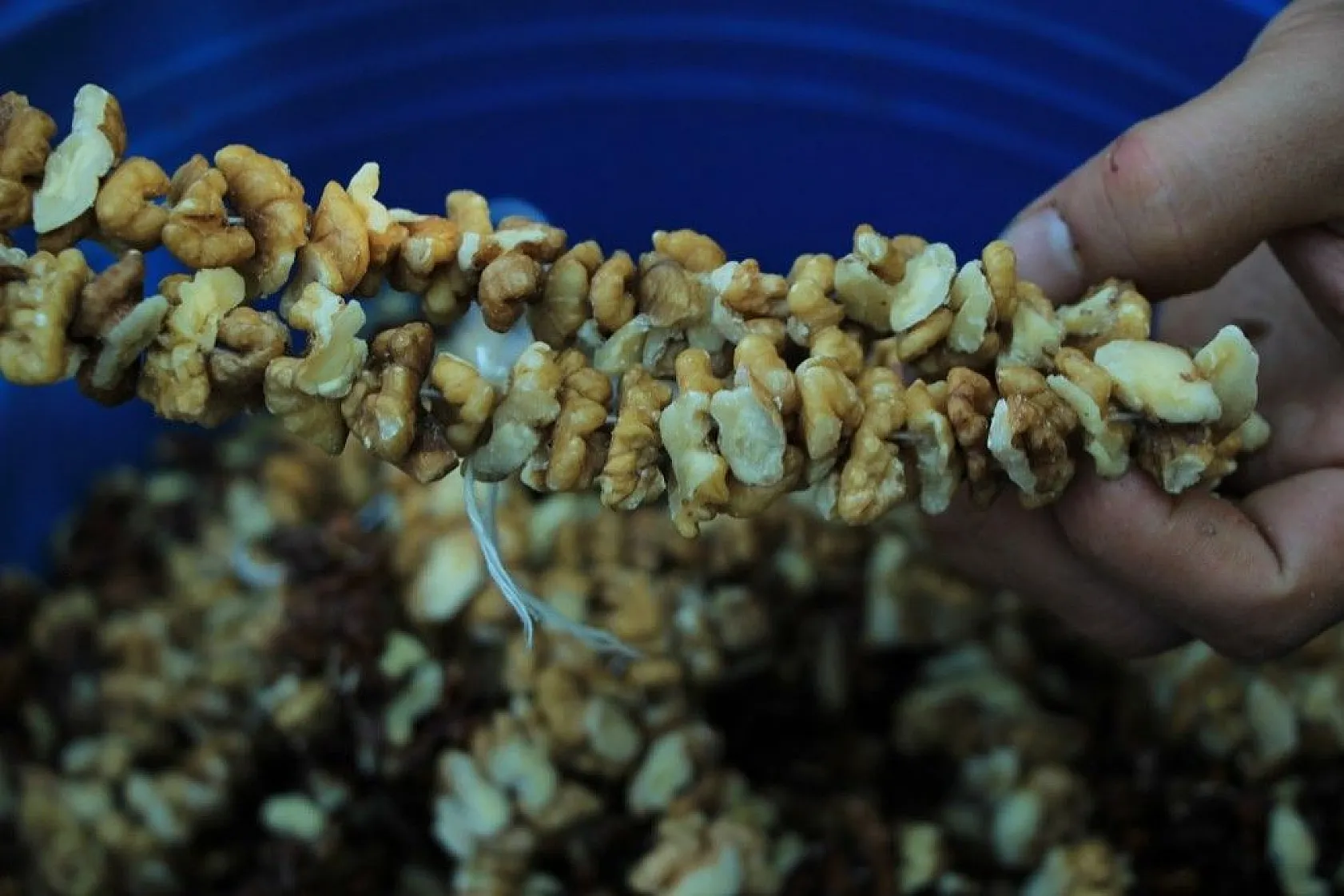 Elazığ'ın tescilli lezzeti 'orcik' için mesai başladı