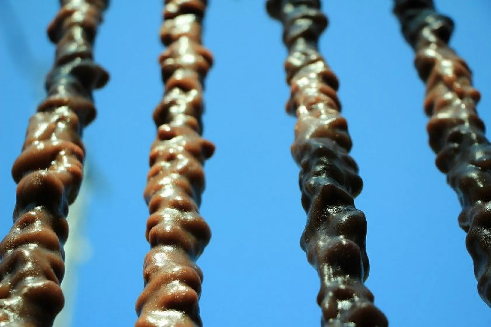 Elazığ'ın tescilli lezzeti 'orcik' için mesai başladı