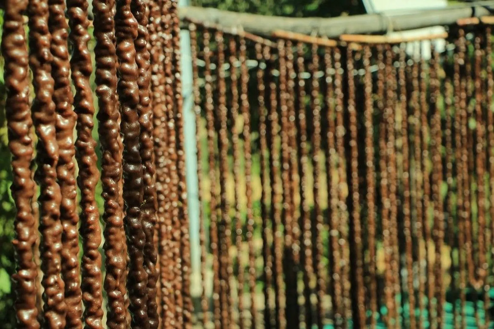 Elazığ'ın tescilli lezzeti 'orcik' için mesai başladı