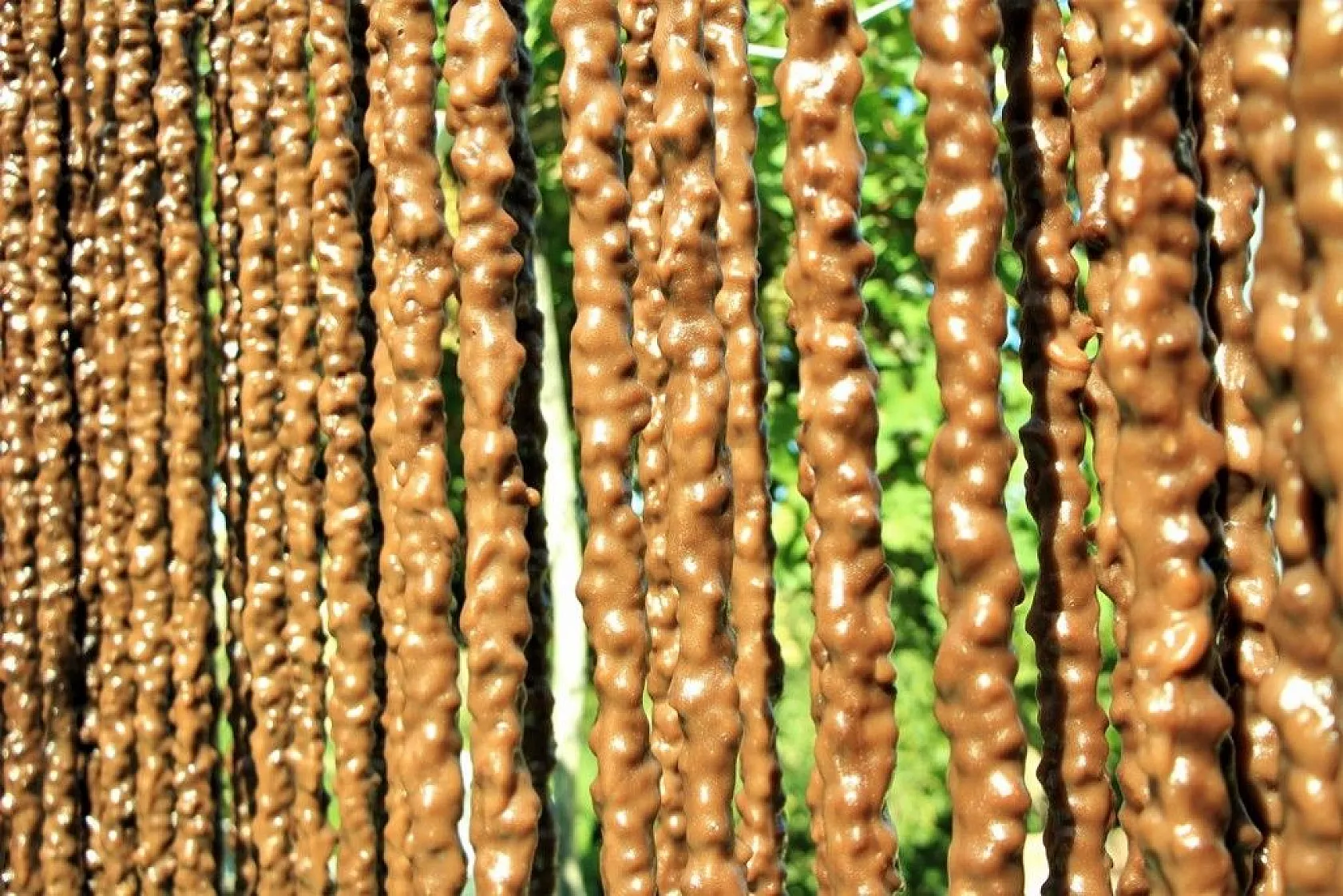 Elazığ'ın tescilli lezzeti 'orcik' için mesai başladı