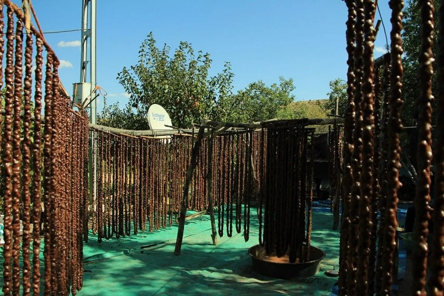 Elazığ'ın tescilli lezzeti 'orcik' için mesai başladı