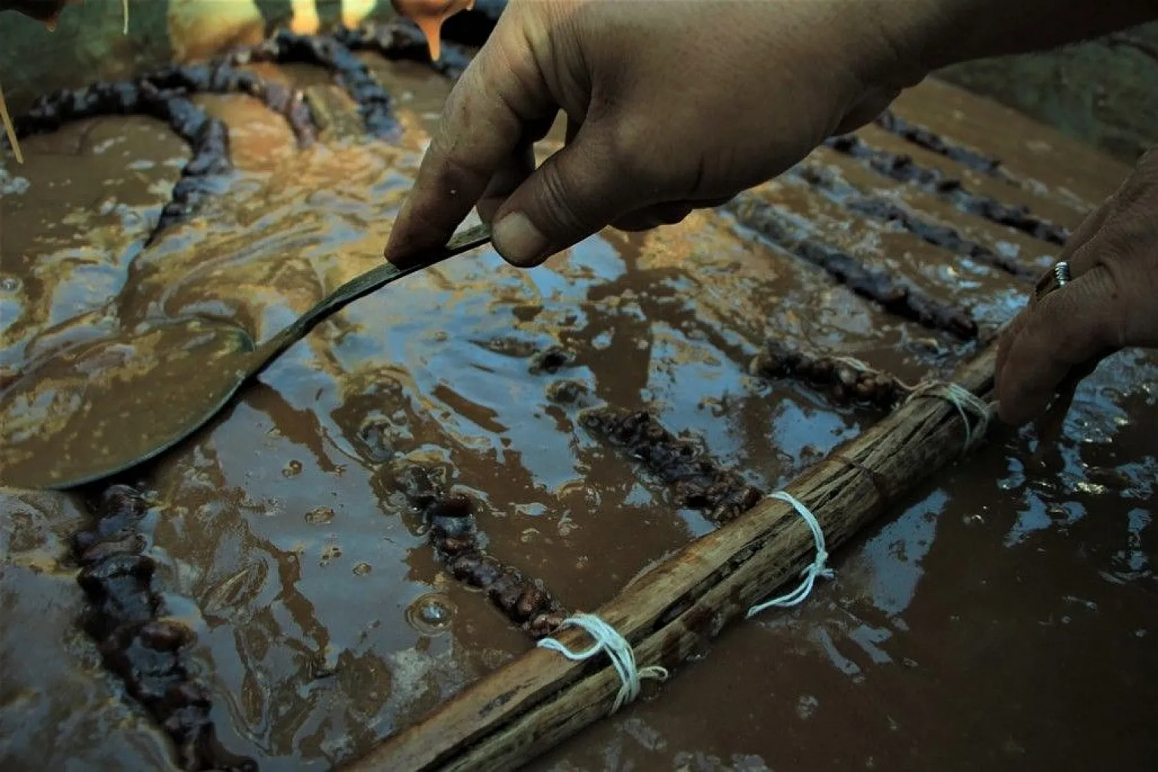 Elazığ'ın tescilli lezzeti 'orcik' için mesai başladı
