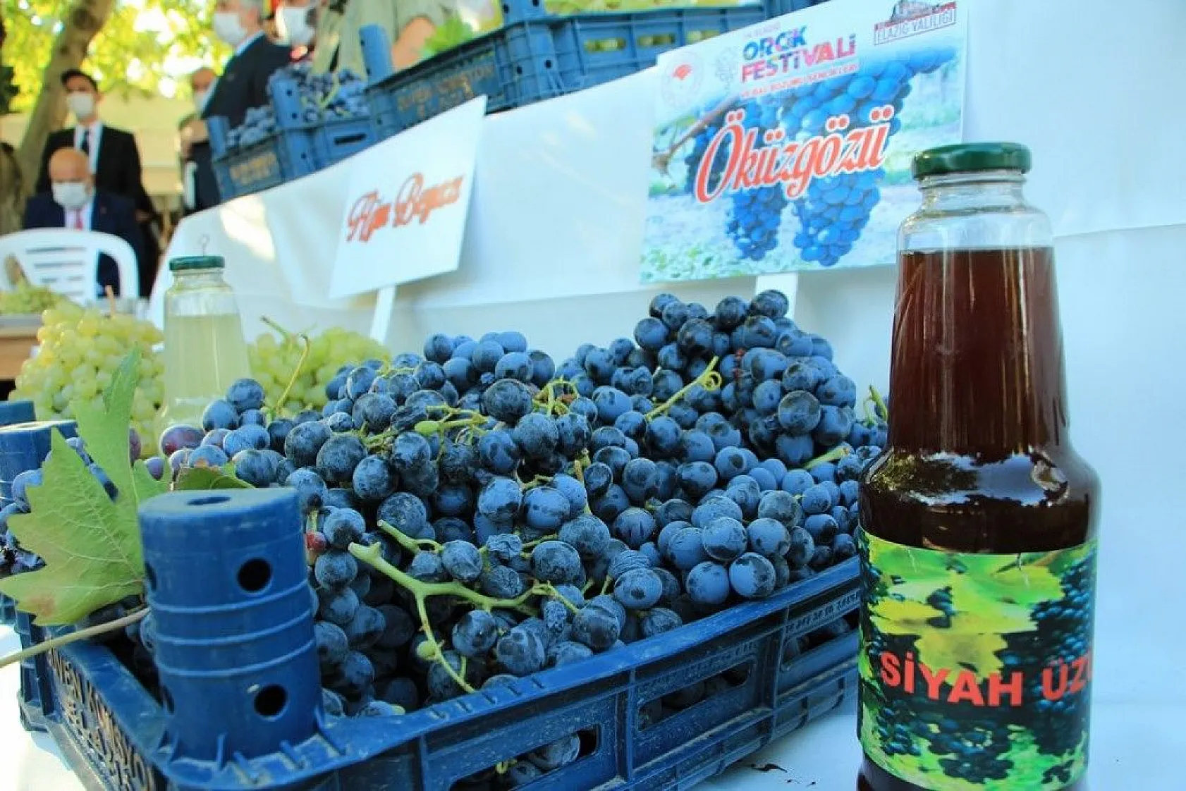 Elazığ'da 14. Bağ Bozumu ve Orcik Festivali