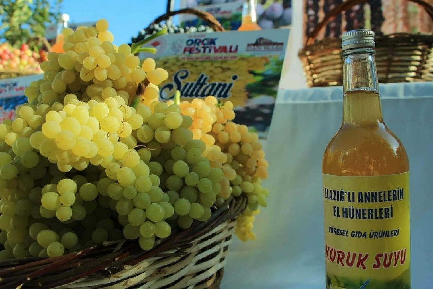 Elazığ'da 14. Bağ Bozumu ve Orcik Festivali