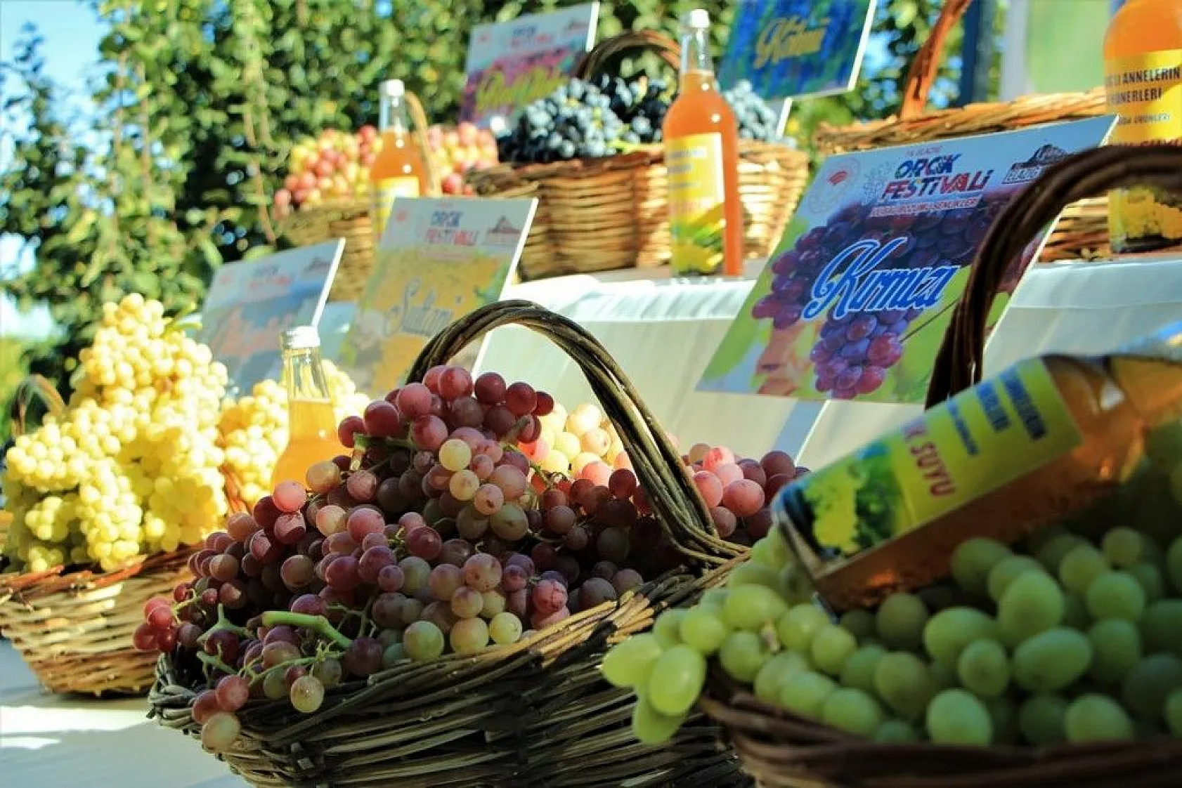 Elazığ'da 14. Bağ Bozumu ve Orcik Festivali