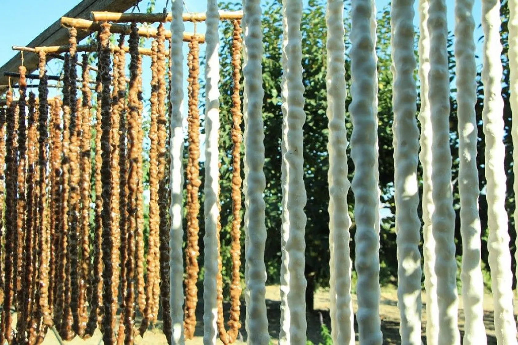 Elazığ'da 14. Bağ Bozumu ve Orcik Festivali