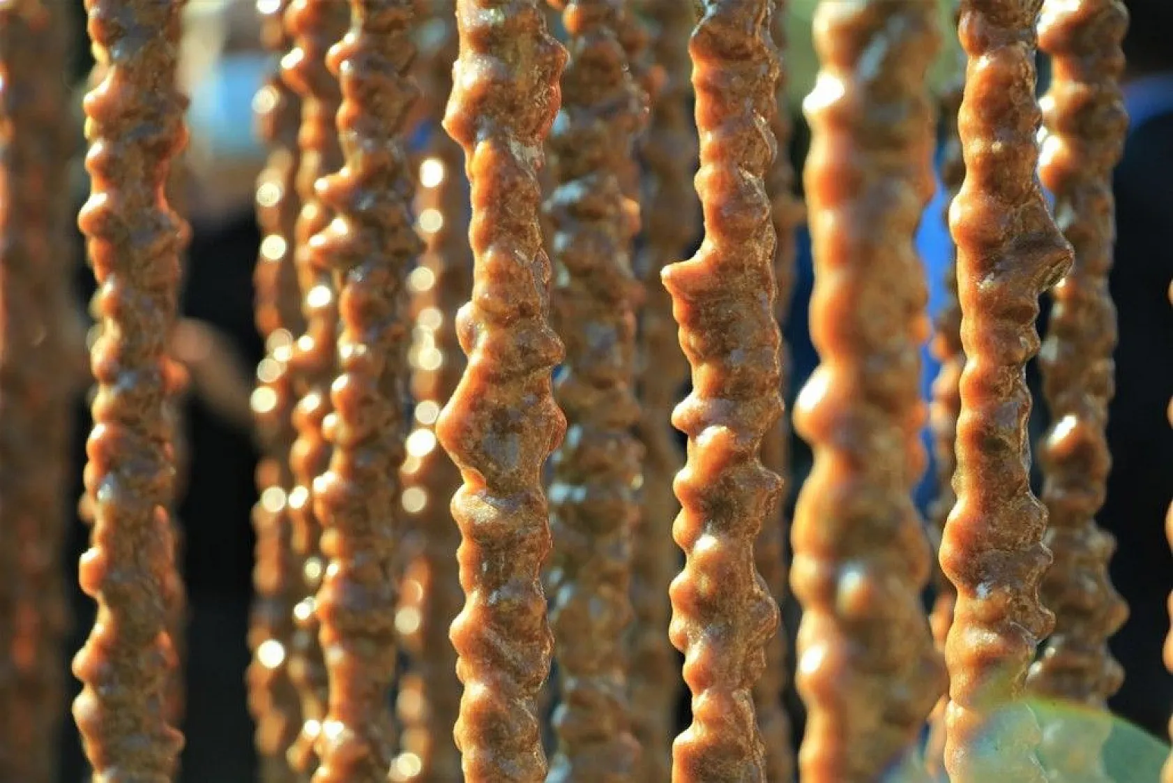 Elazığ'da 14. Bağ Bozumu ve Orcik Festivali