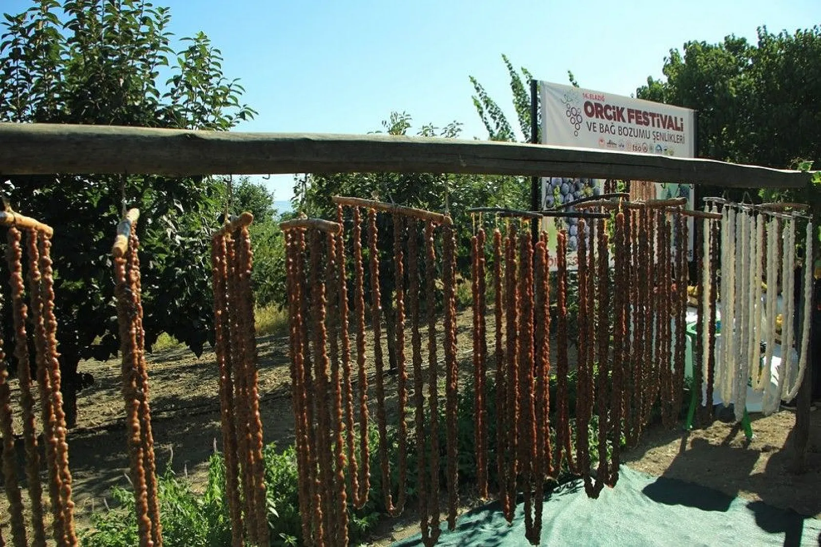 Elazığ'da 14. Bağ Bozumu ve Orcik Festivali