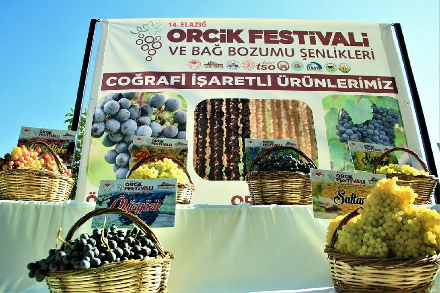 Elazığ'da 14. Bağ Bozumu ve Orcik Festivali