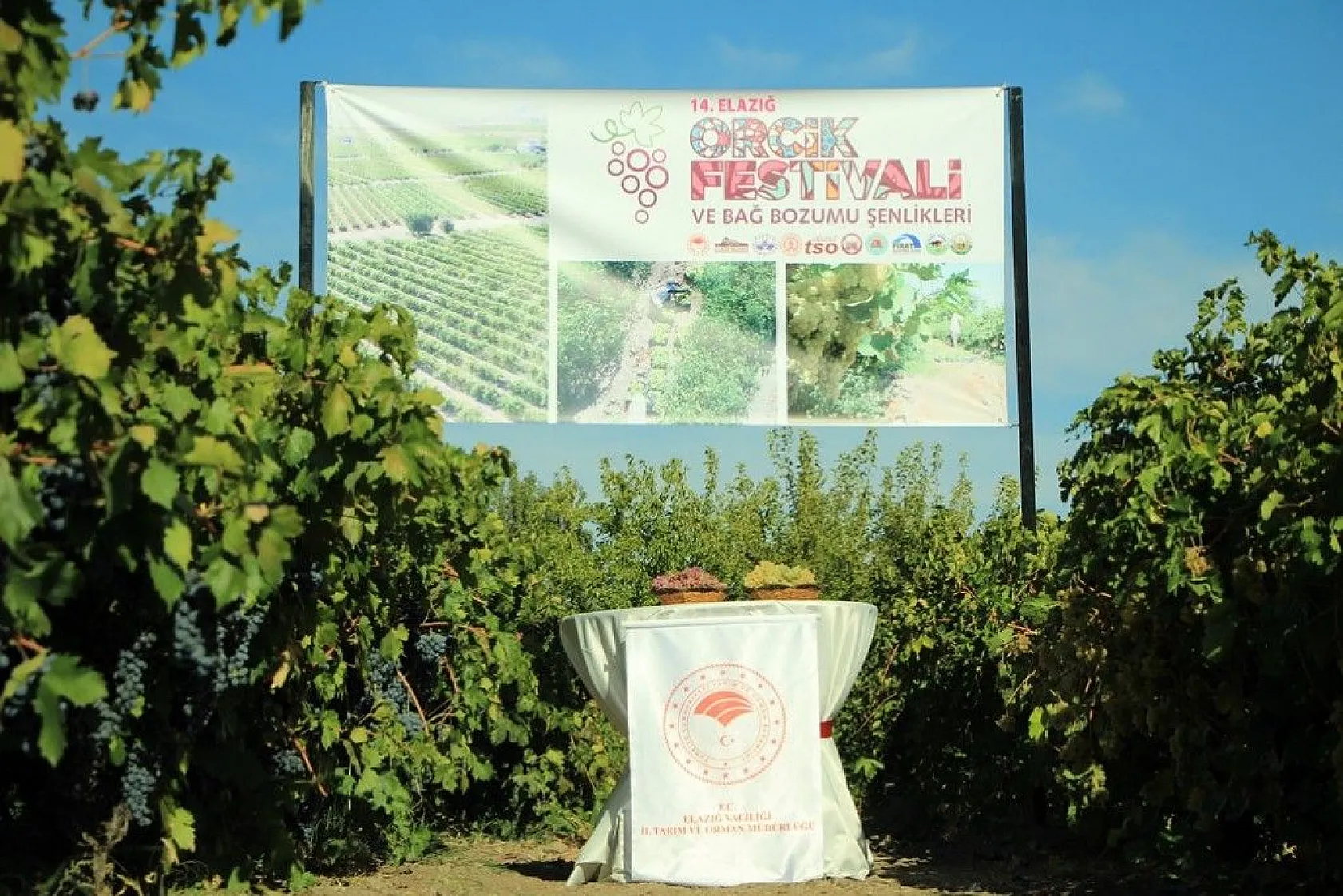 Elazığ'da 14. Bağ Bozumu ve Orcik Festivali