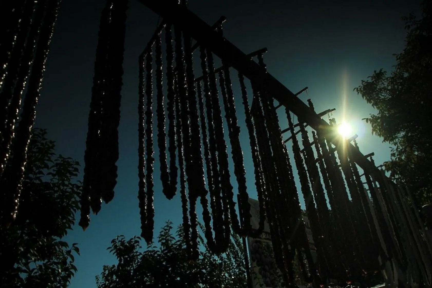 Elazığ'da 14. Bağ Bozumu ve Orcik Festivali