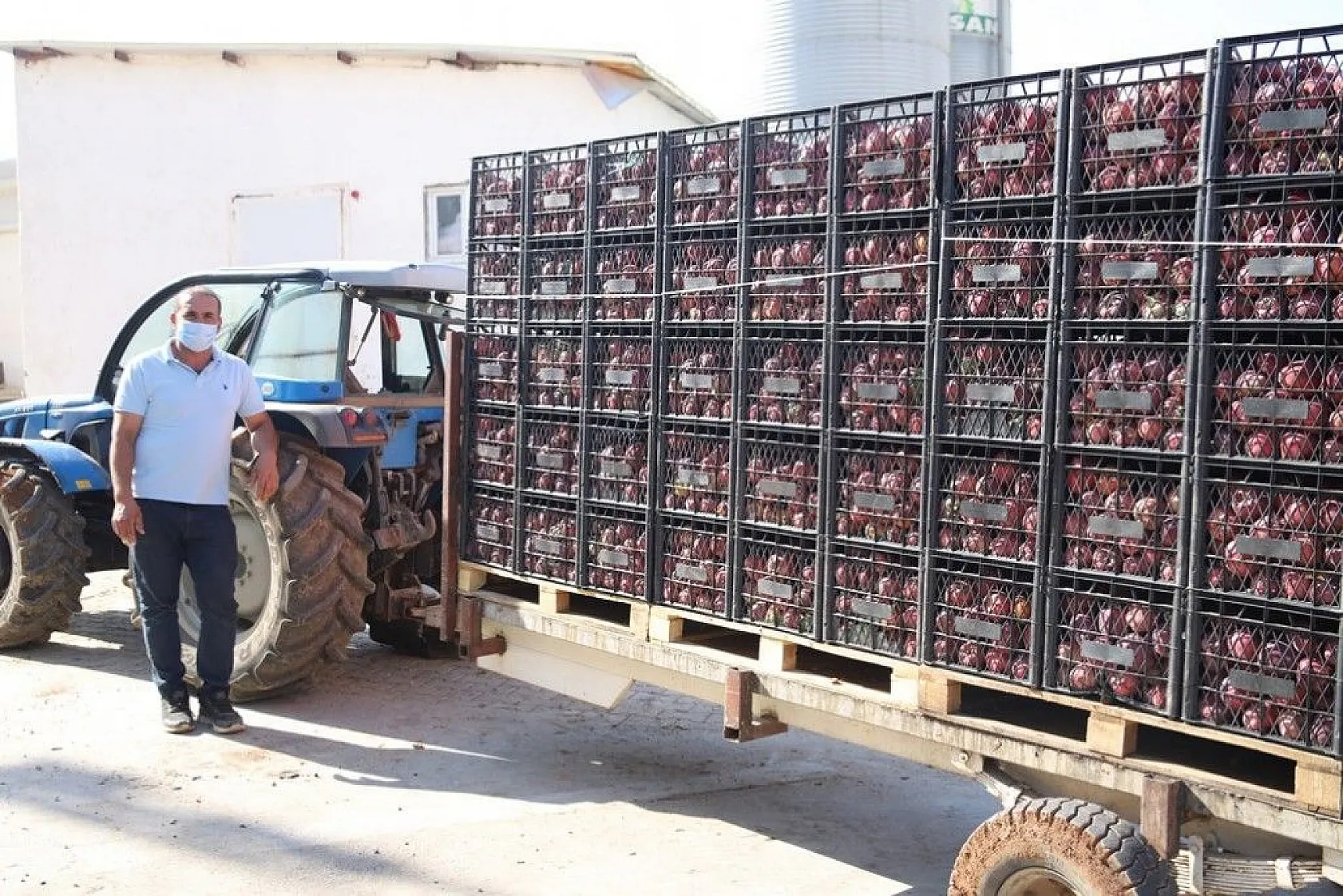 Memurluğu bıraktı, modern tarımla kendi işinin patronu oldu