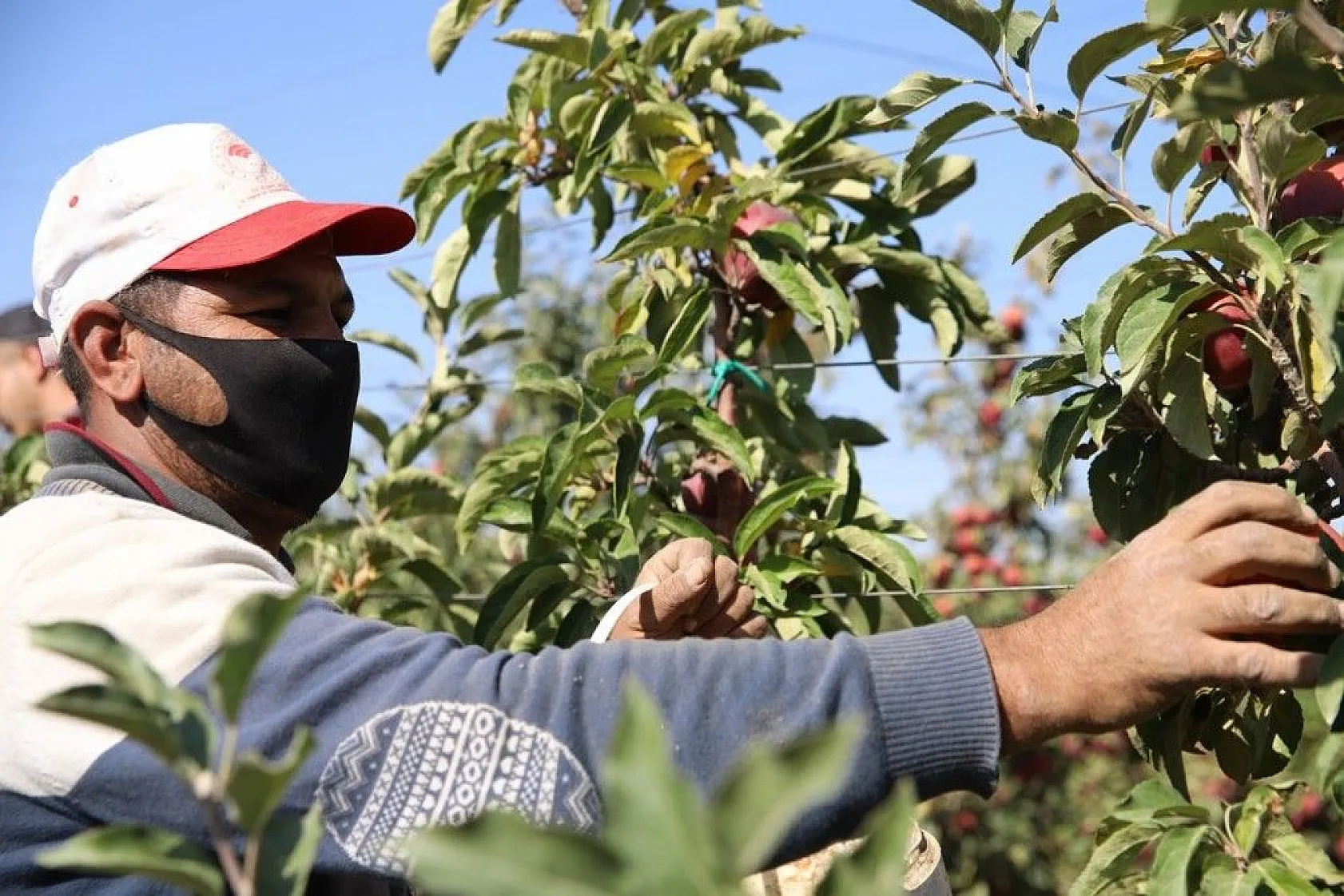 Memurluğu bıraktı, modern tarımla kendi işinin patronu oldu