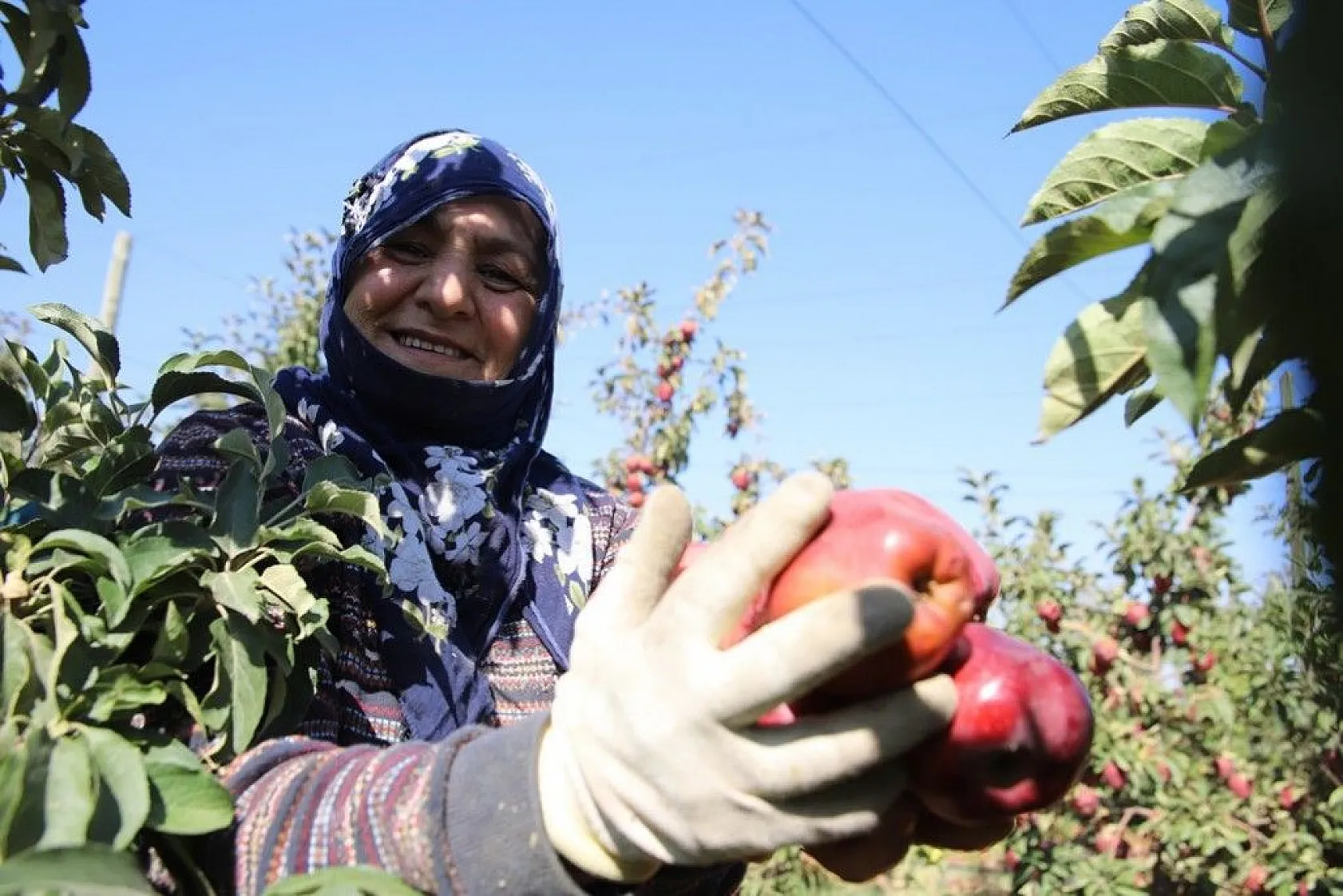 Memurluğu bıraktı, modern tarımla kendi işinin patronu oldu