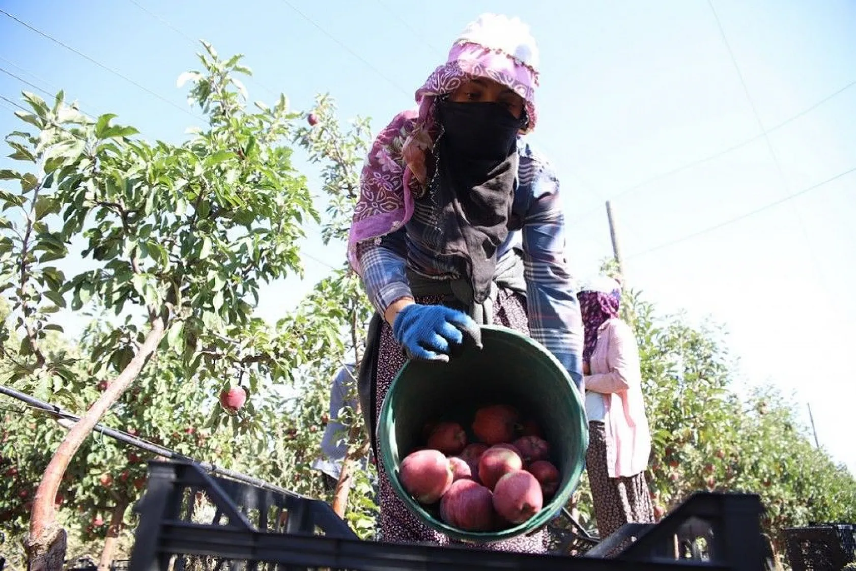 Memurluğu bıraktı, modern tarımla kendi işinin patronu oldu