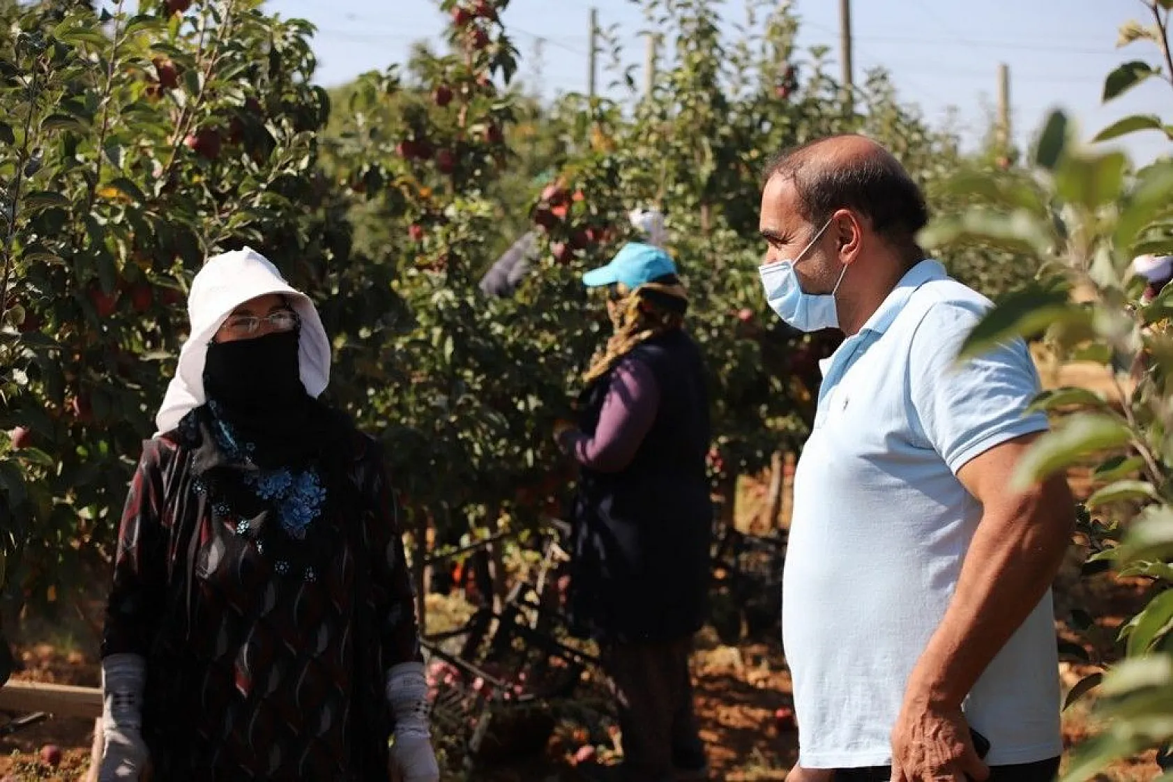 Memurluğu bıraktı, modern tarımla kendi işinin patronu oldu