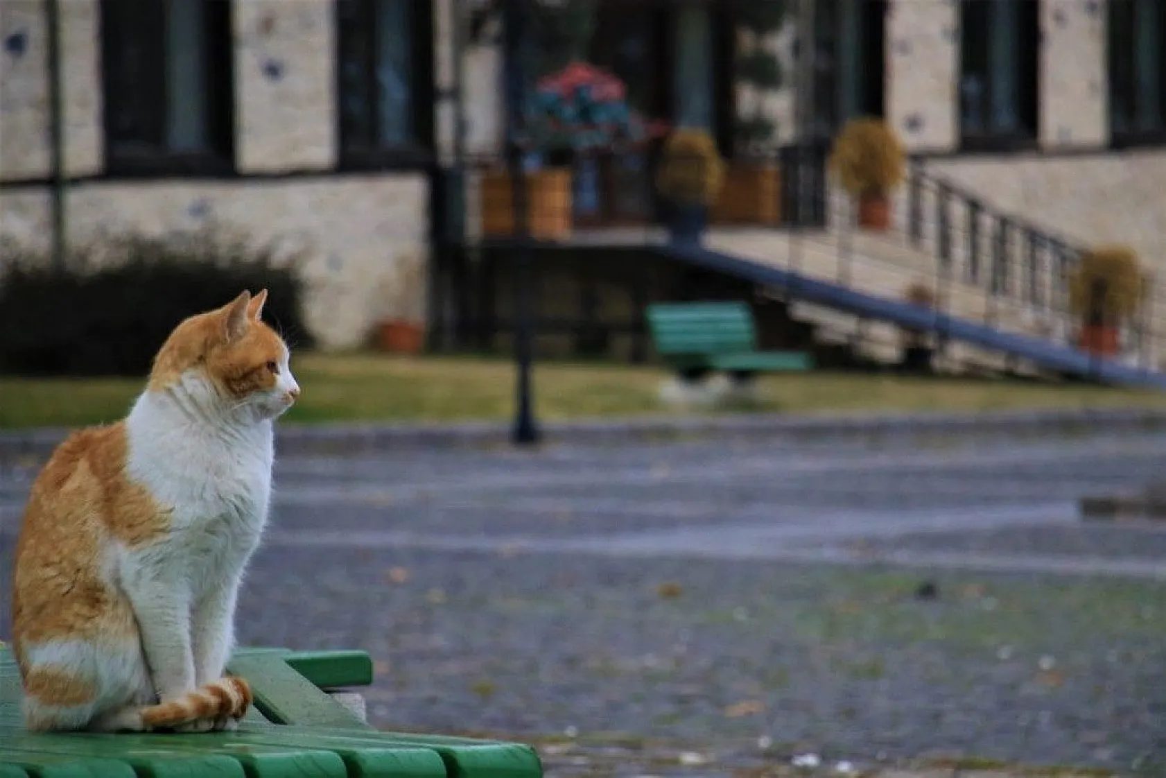 Harput'ta sonbahar güzelliği