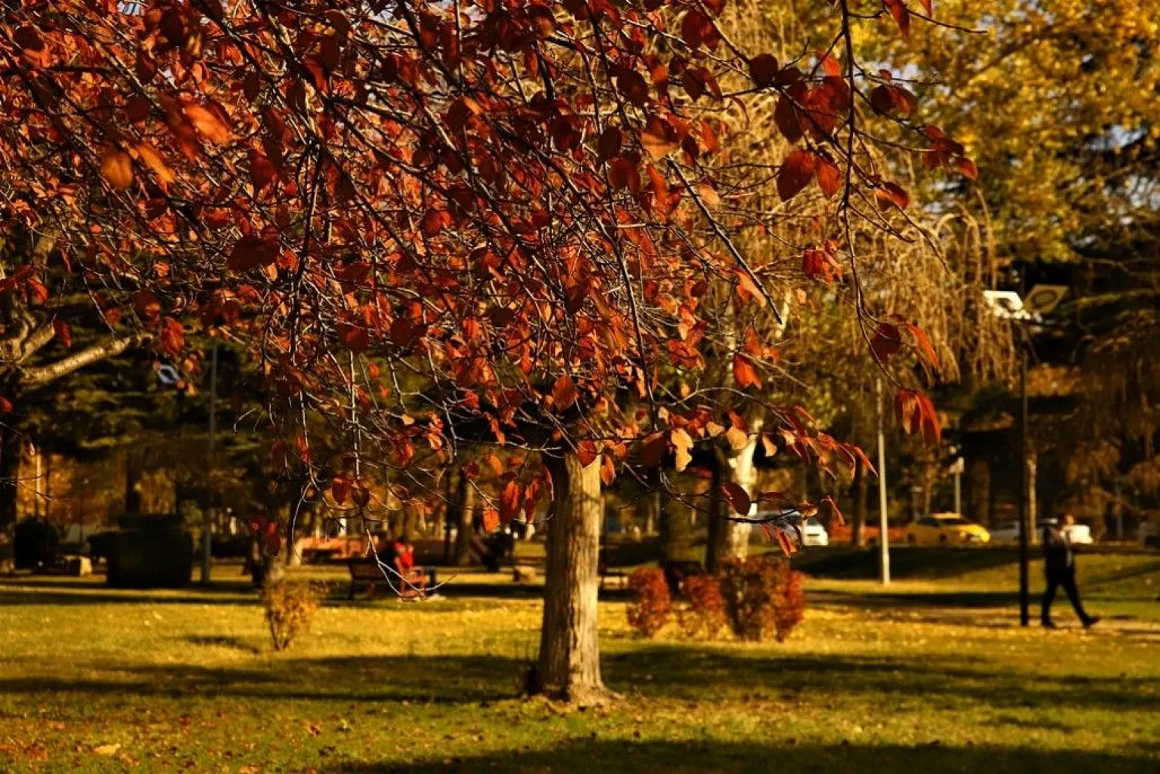 Elazığ'da sonbahar renkleri görsel şölen sunuyor