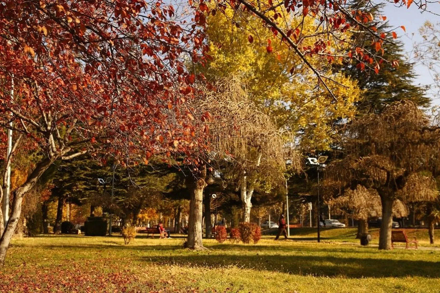 Elazığ'da sonbahar renkleri görsel şölen sunuyor