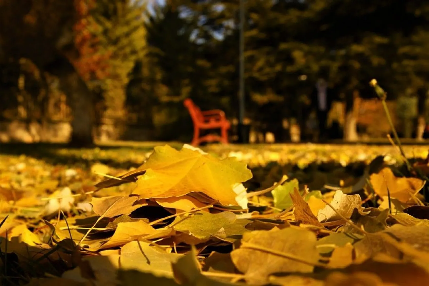 Elazığ'da sonbahar renkleri görsel şölen sunuyor